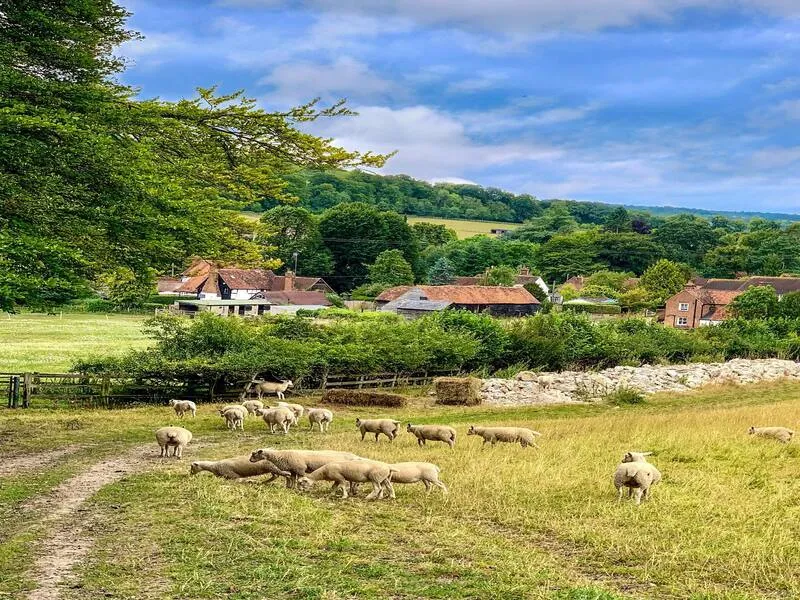 Hambleden Valley